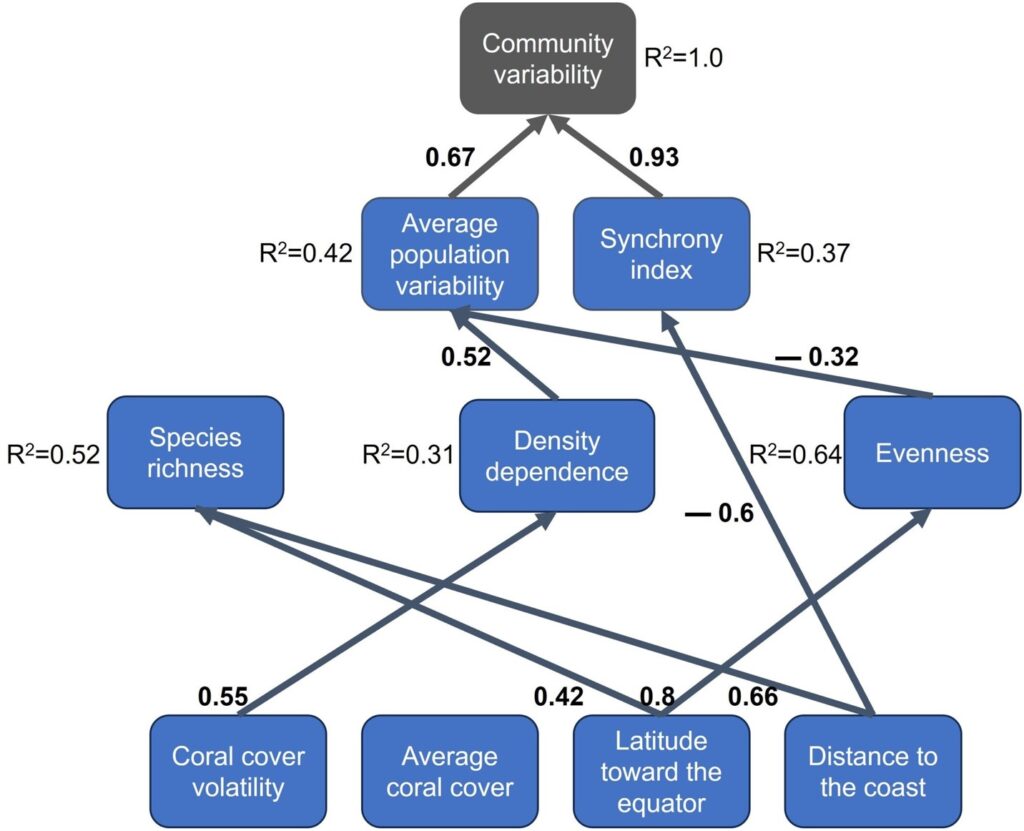 Tsai & Connolly 2025，Tsai et al. 2022