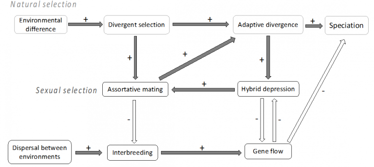 Figure from Hsu, 2019