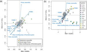 Detecting local adaptation under weak genetic structure in an endemic damselfly: an integrative eco-evolutionary approach